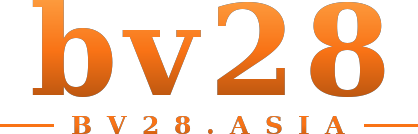 bv28 logo
